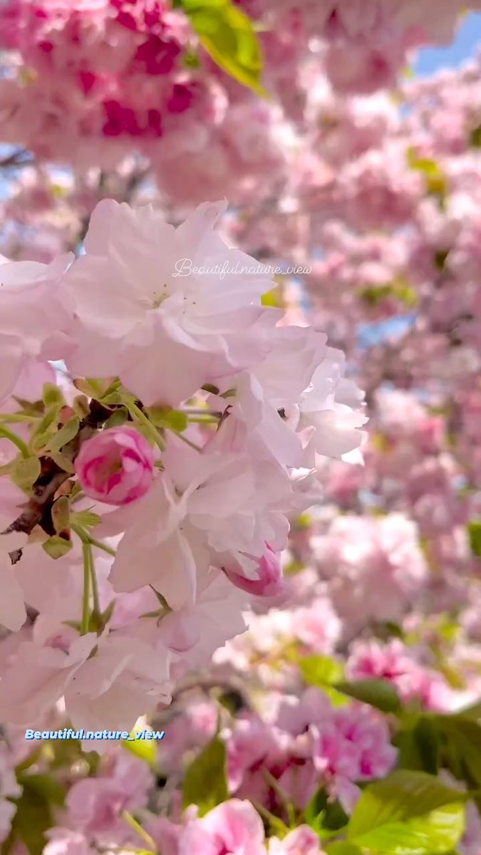 Happy ᠍and ⳿beautiful ᠍days, ⬝I ​hope ᠍you ﾞare with ⳿me.