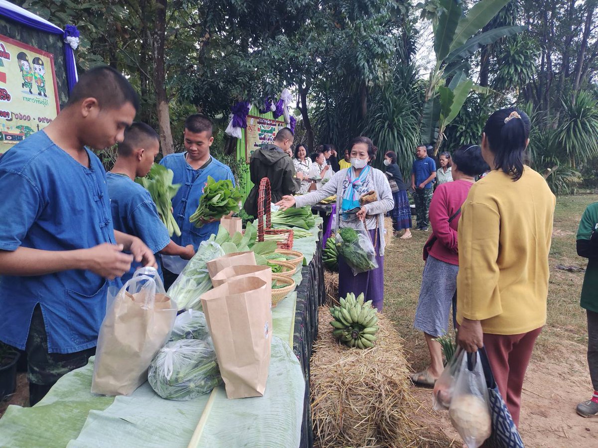 801stregiment's tweet photo. "ผักปลอดภัยไว้ใจทหารพันธุ์ดี" 🥬🪖

กองพันทหารราบที่ 1 กรมทหารราบที่ 8  นำพืชผักปลอดสารพิษ จากโครงการทหารพันธ์ุดีของหน่วย ออกจำหน่ายให้กับพี่น้องประชาชนราคาย่อมเยา ในห้วงงานกาชาด ประจำปี 2566 ณ บริเวณตลาดชุมชนค่ายศรีสองรัก อ.เมือง จ.เลย

#ทหารพันธุ์ดี
#ร8พัน1
#ARMYSTRON
#ArmyFarm https://t.co/Wskjm6WSOD