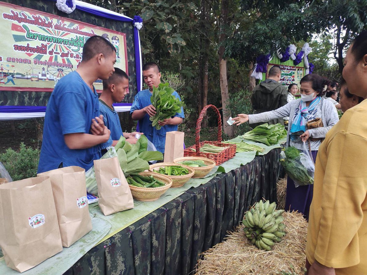 801stregiment's tweet photo. "ผักปลอดภัยไว้ใจทหารพันธุ์ดี" 🥬🪖

กองพันทหารราบที่ 1 กรมทหารราบที่ 8  นำพืชผักปลอดสารพิษ จากโครงการทหารพันธ์ุดีของหน่วย ออกจำหน่ายให้กับพี่น้องประชาชนราคาย่อมเยา ในห้วงงานกาชาด ประจำปี 2566 ณ บริเวณตลาดชุมชนค่ายศรีสองรัก อ.เมือง จ.เลย

#ทหารพันธุ์ดี
#ร8พัน1
#ARMYSTRON
#ArmyFarm https://t.co/Wskjm6WSOD