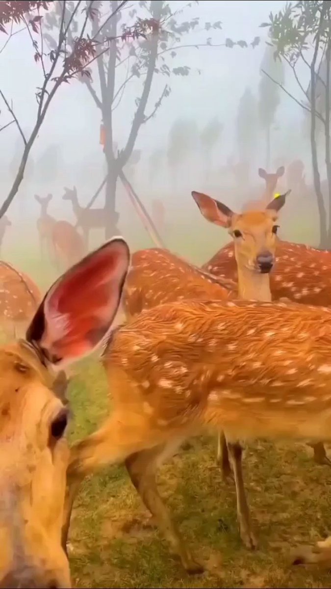 When you ᠍come  to ‍this world, ᠍you  must  make ‍an effort ​to ﾠsee ‍all the beauty.