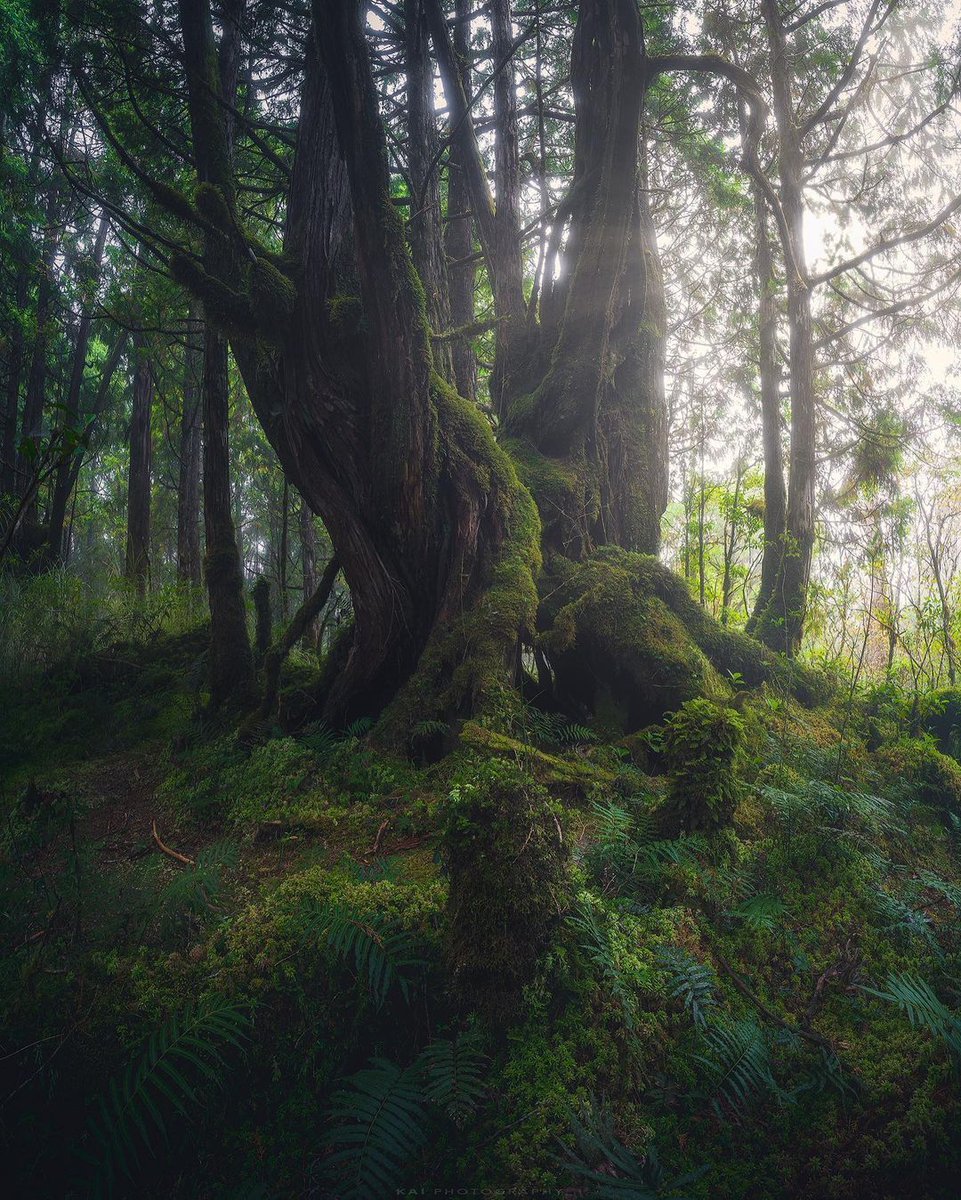 These ​scenery ​have  nothing to ⳿do  with ﾠanything. ᱸEven if ᠍you ᱸhave ​nothing, ⳿they ﾞwill ᱸstill ﾞbloom for you.