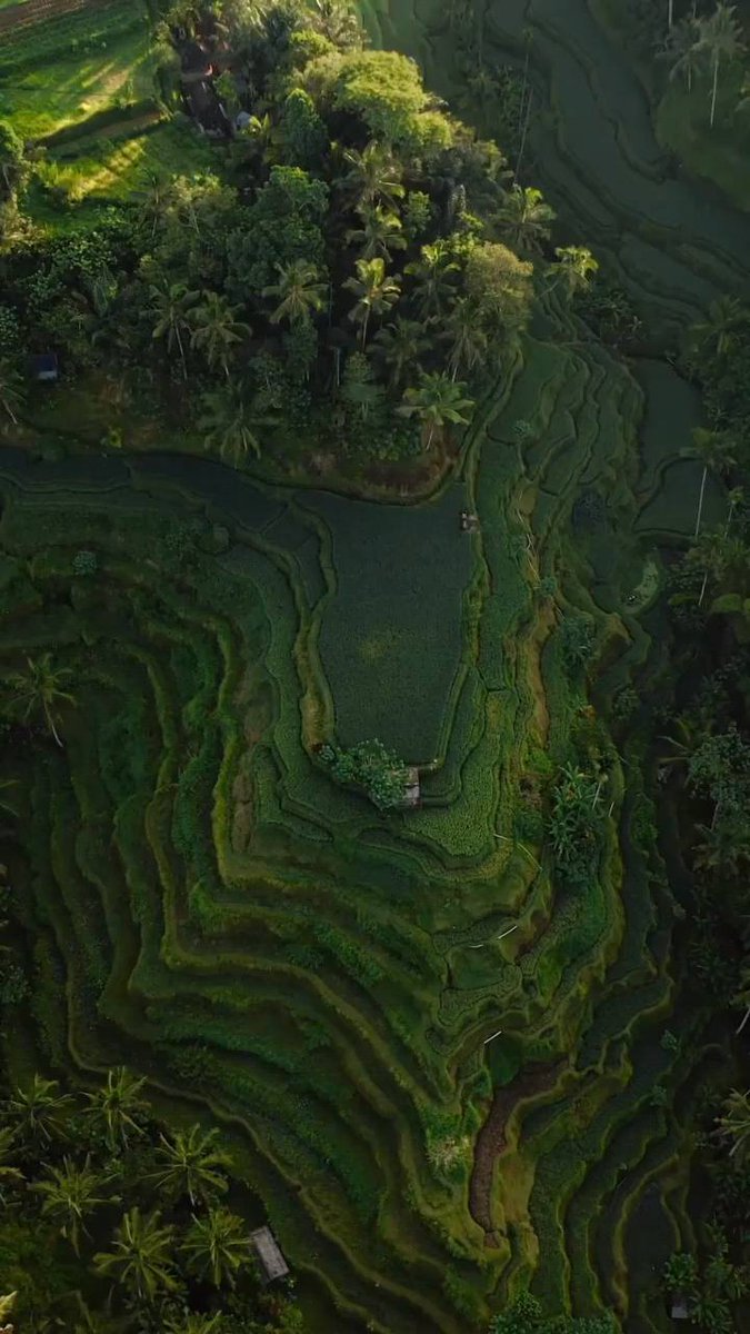 Beautiful ⳿things ⬝are ᠍waiting  for ‍you to ‍discover.