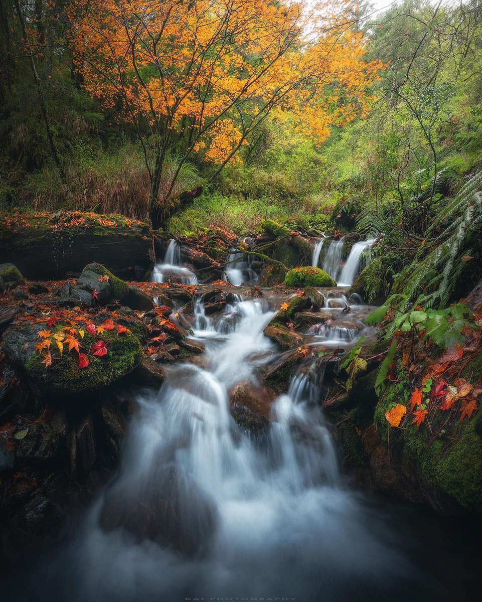 The ﾞcold ﾠpool ᱸreflects ⳿the ᱸwhite ᠎moon, ﾞand  the ⬝autumn ᱸrain ‍covers ᠎the ᠍moss