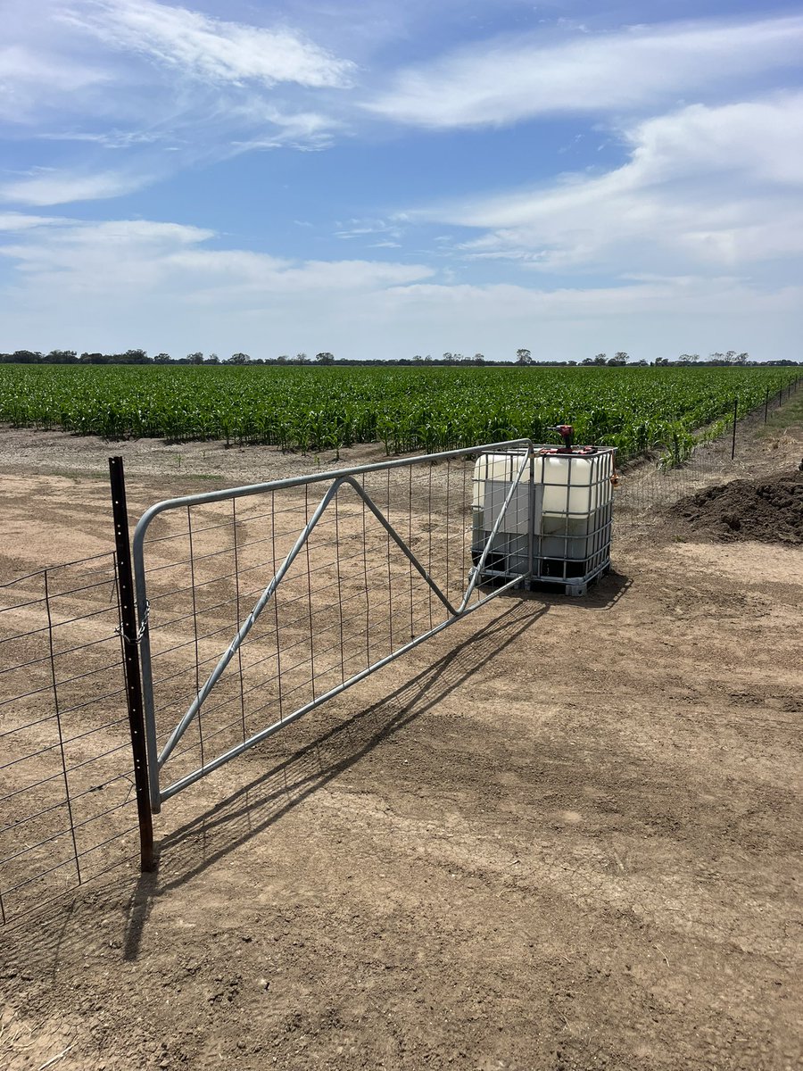 Tom Sleigh tweet media