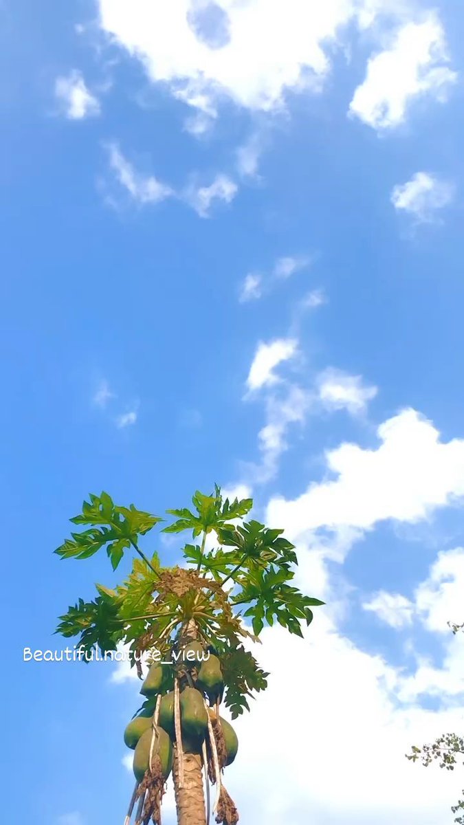 Be ᠍bought ‍by ᠎the ᠍good ﾠscenery, ᠍and ᱸthe ⳿rest is ⳿all ᱸa ᠍good ⳿mood.