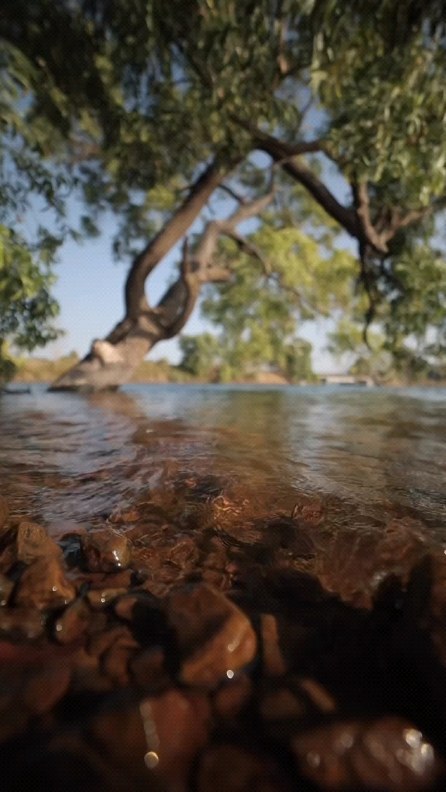 The  fragrance  of ⳿rice ﾠflowers ⬝tells ‍of ᠍a good ‍harvest, ‍and ﾠthe ᱸsound  of ⬝frogs ⳿sounds.
