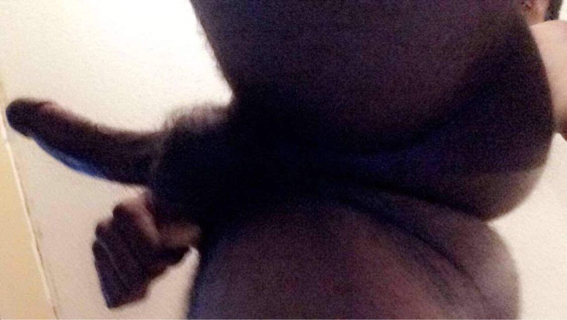 dabootymunchae's tweet photo. Suck dis dick and eat my boøty feeling real freaky tonight #oraltop https://t.co/Rh70L4NjgP