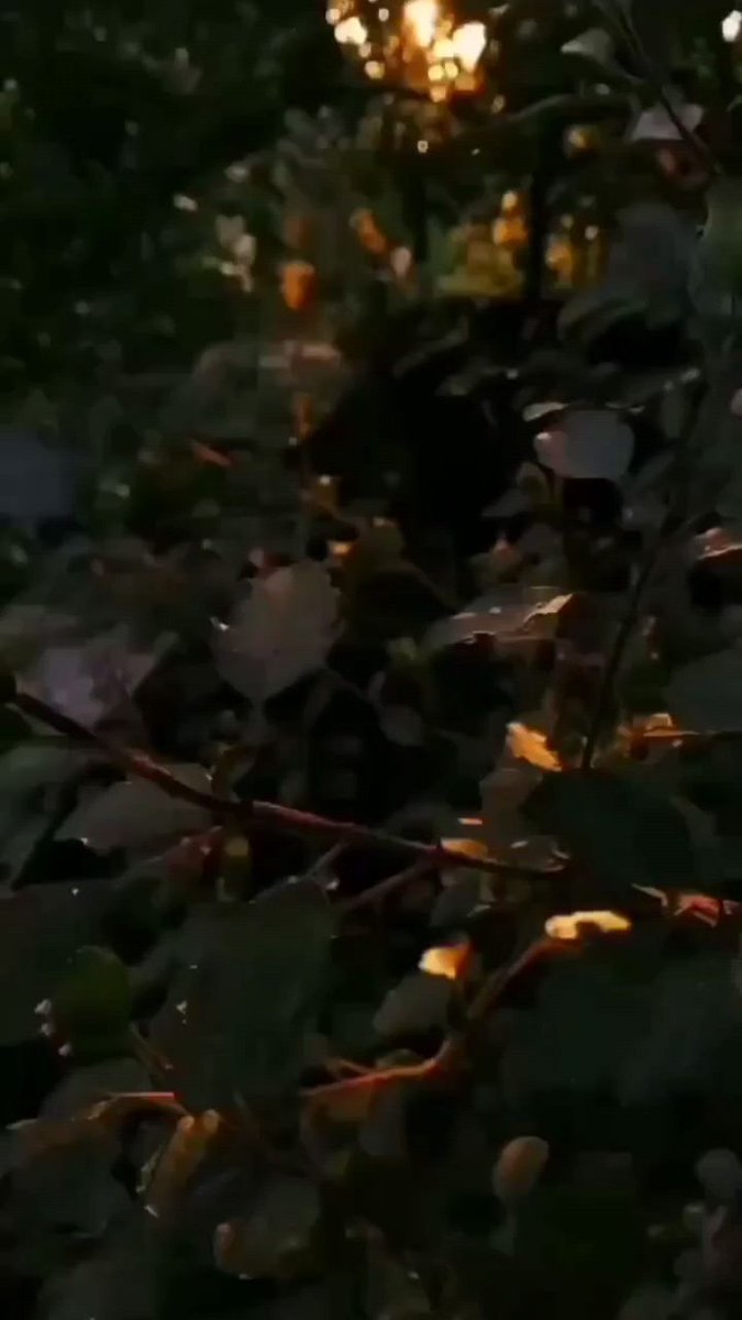 Ten miles  after  the ⳿spring  breeze, ​all the ⳿wheat ᱸis ﾠgreen