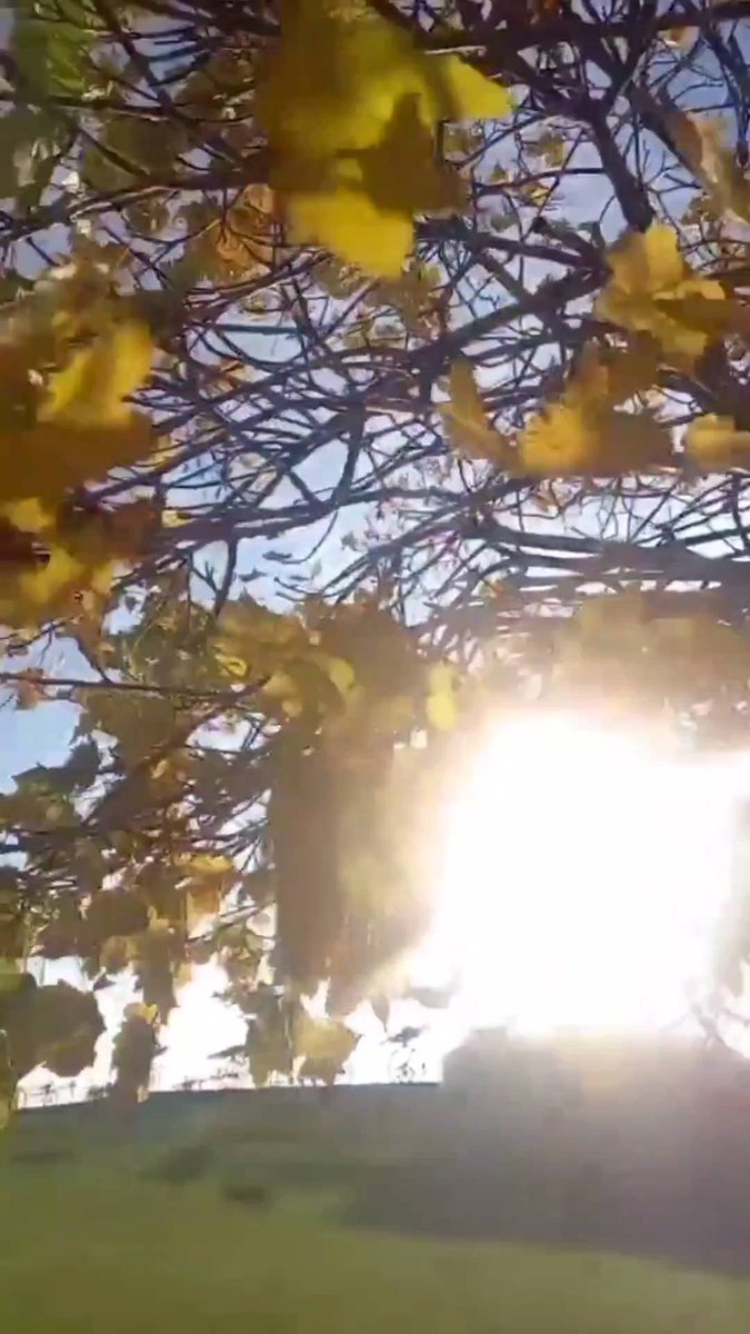 The ⳿cold ⬝pool ‍reflects ᠍the ᠍white ​moon, ​and the ﾞautumn ᠍rain ‍covers ᱸthe ​moss