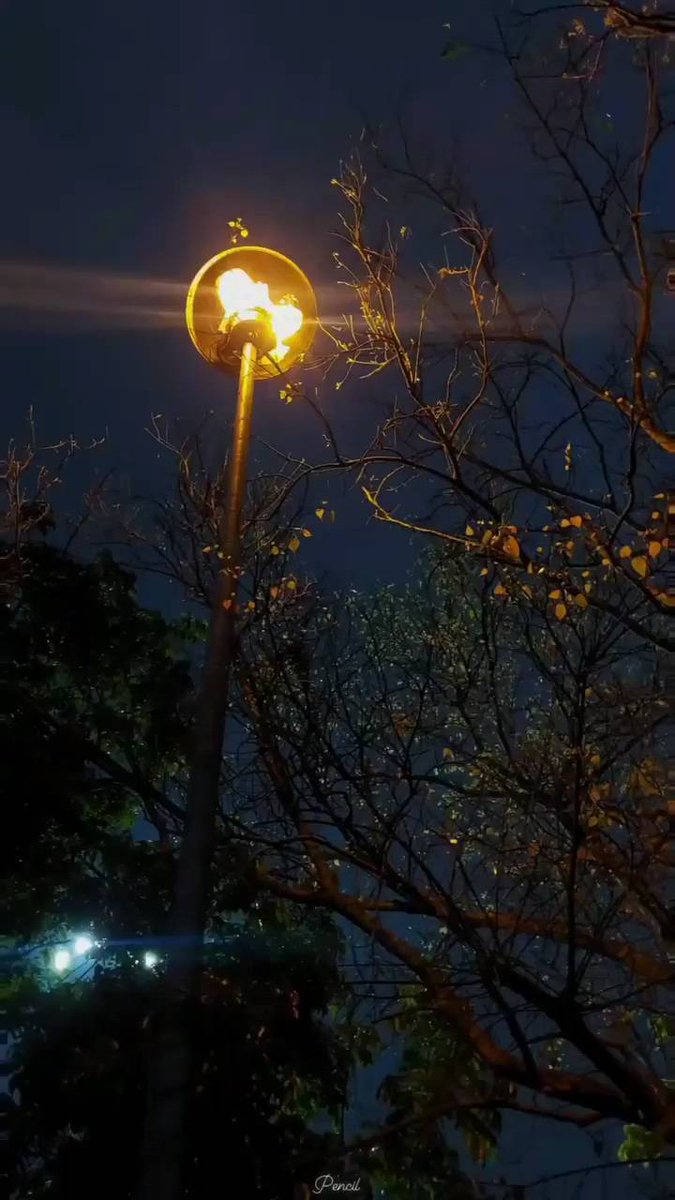 Use ᠍your ‍footsteps ⳿to ﾠmeasure ⬝the ⳿world ﾠand  your ﾠeyes to ᠎record the ‍scenery.