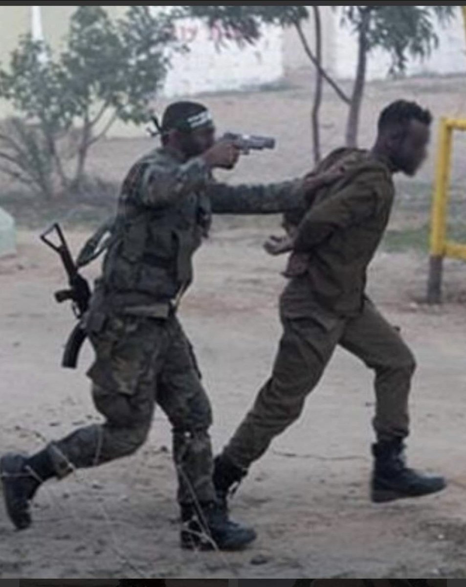 guy_malka🇮🇱 tweet media