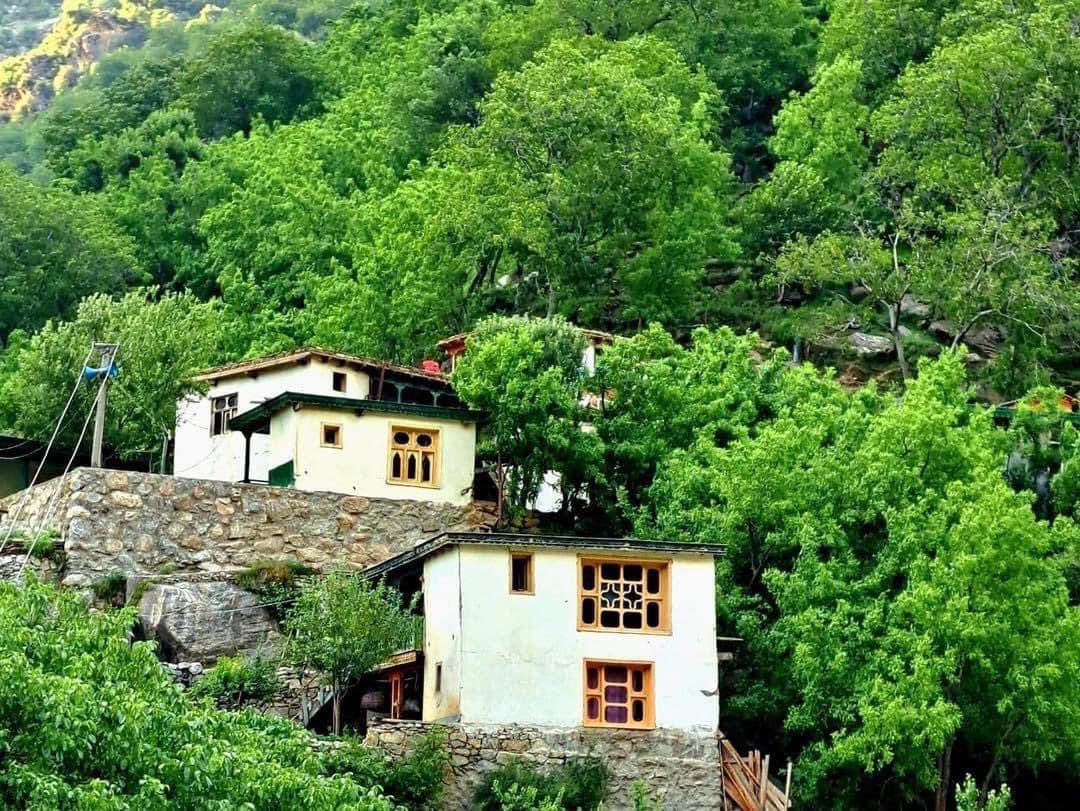 Nuristantribune's tweet image. Nuristan, The National Park of Afghanistan 🇦🇫 
@Nuristantribune
