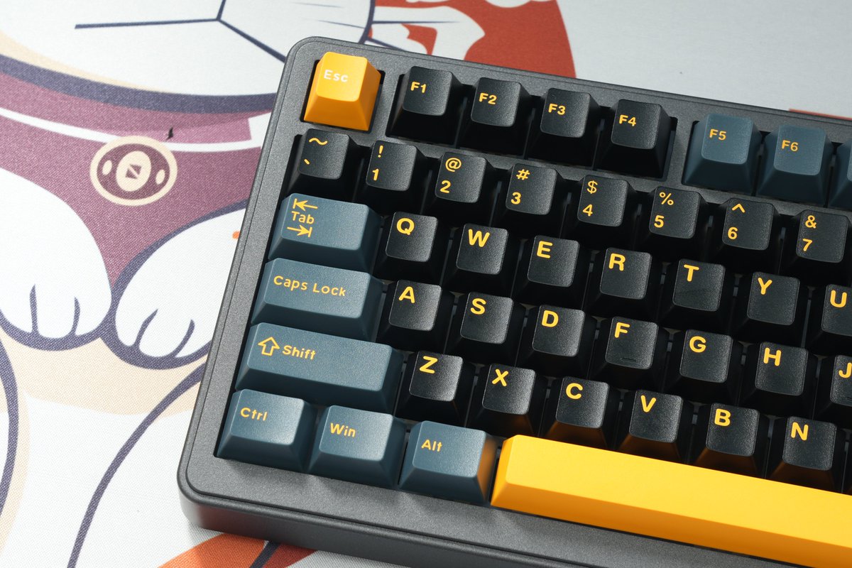Merkeebs's tweet photo. Sharing some shots of the Feker K75 that was sent over by @Mechlands for review.
It's a solid pre-built board with a combo screen / knob.
Review is up over on the channel :)
#keyboard #keyboards #mechanicalkeyboards #mechanicalkeyboards⌨️ #feker #fekerk75 #k75 https://t.co/oPG0GjiG8v
