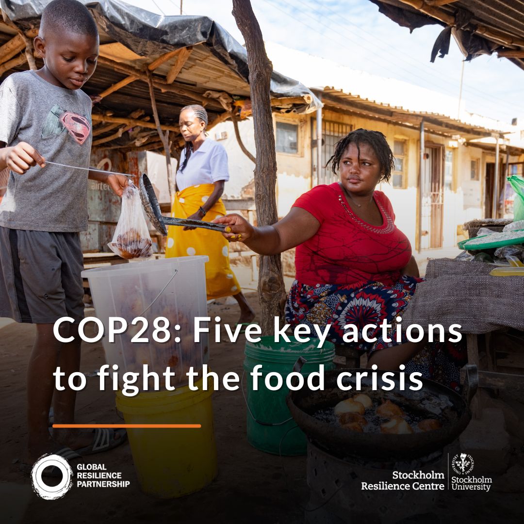 Transforming the food system is key for achieving the Paris Agreement targets. A science brief from @sthlmresilience and @grp_resilience reveals 5 key actions for policymakers to tackle the escalating global food crisis. 🍽️🌱 Learn more: buff.ly/3RymqJJ
