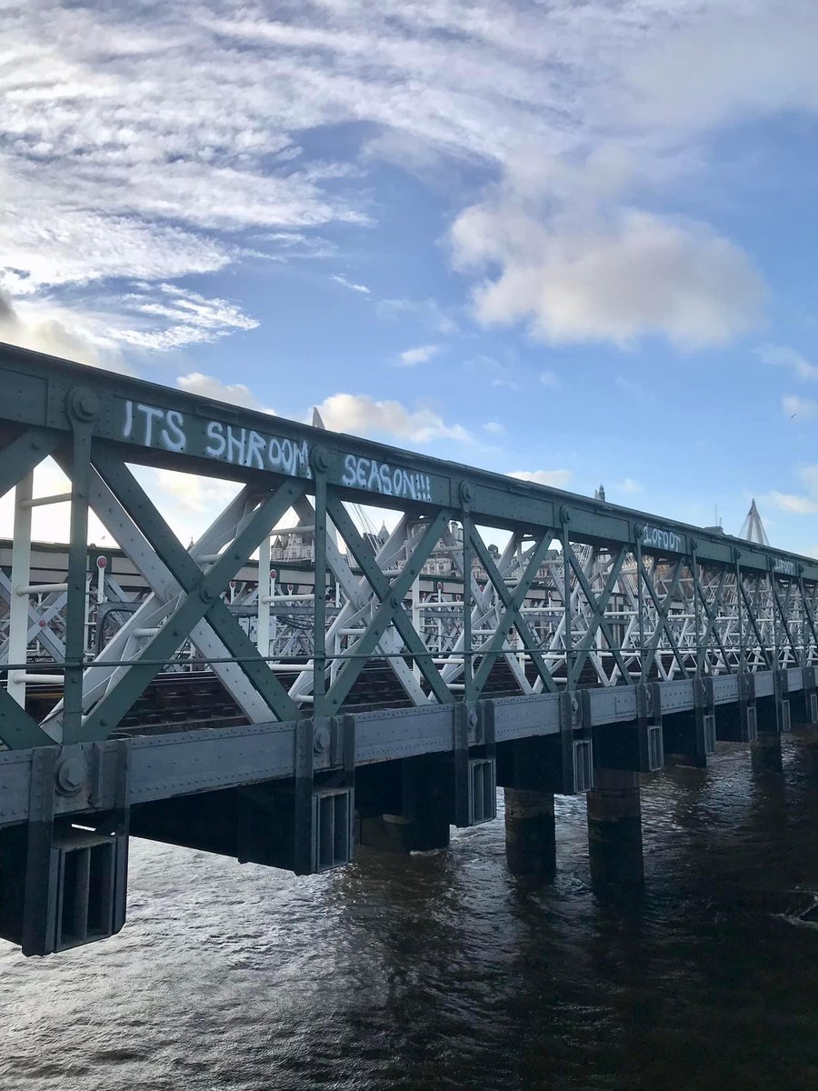 InvisibleJim1's tweet photo. Word on the street / bridge via the infamous #10foot https://t.co/Gbtf5LtFhD