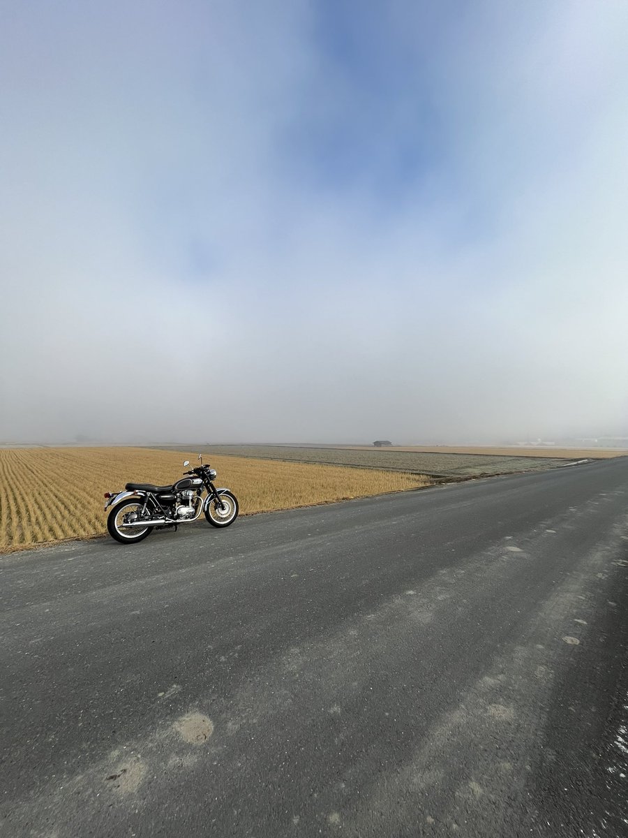 tora114's tweet photo. 亀岡は霧が多いと聞いてたけど、ここまでとは思ってなかったな。
#kawasaki
#w650
#バイクのある風景
#京都府亀岡市
#R423 https://t.co/JVvbiqzNat