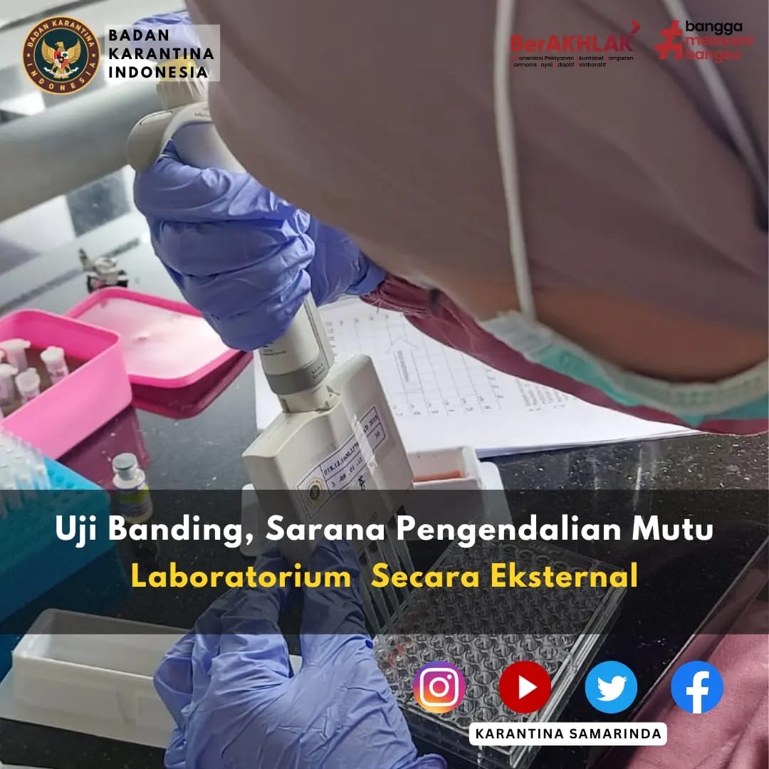 KarantinaSMD's tweet photo. Samarinda (09/12) Pengendalian mutu pada laboratorium dapat dilakukan secara internal atau eksternal. Pengendalian mutu secara internal melalui kegiatan uji silang antar analis sedangkan pengendalian mutu secara eksternal melalui uji banding antar laboratorium. https://t.co/k9XHRW2FeW