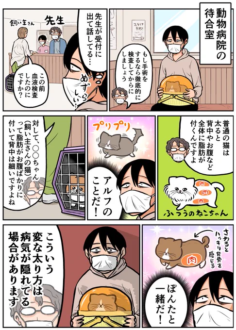 猫の太り方にも色々あった日記