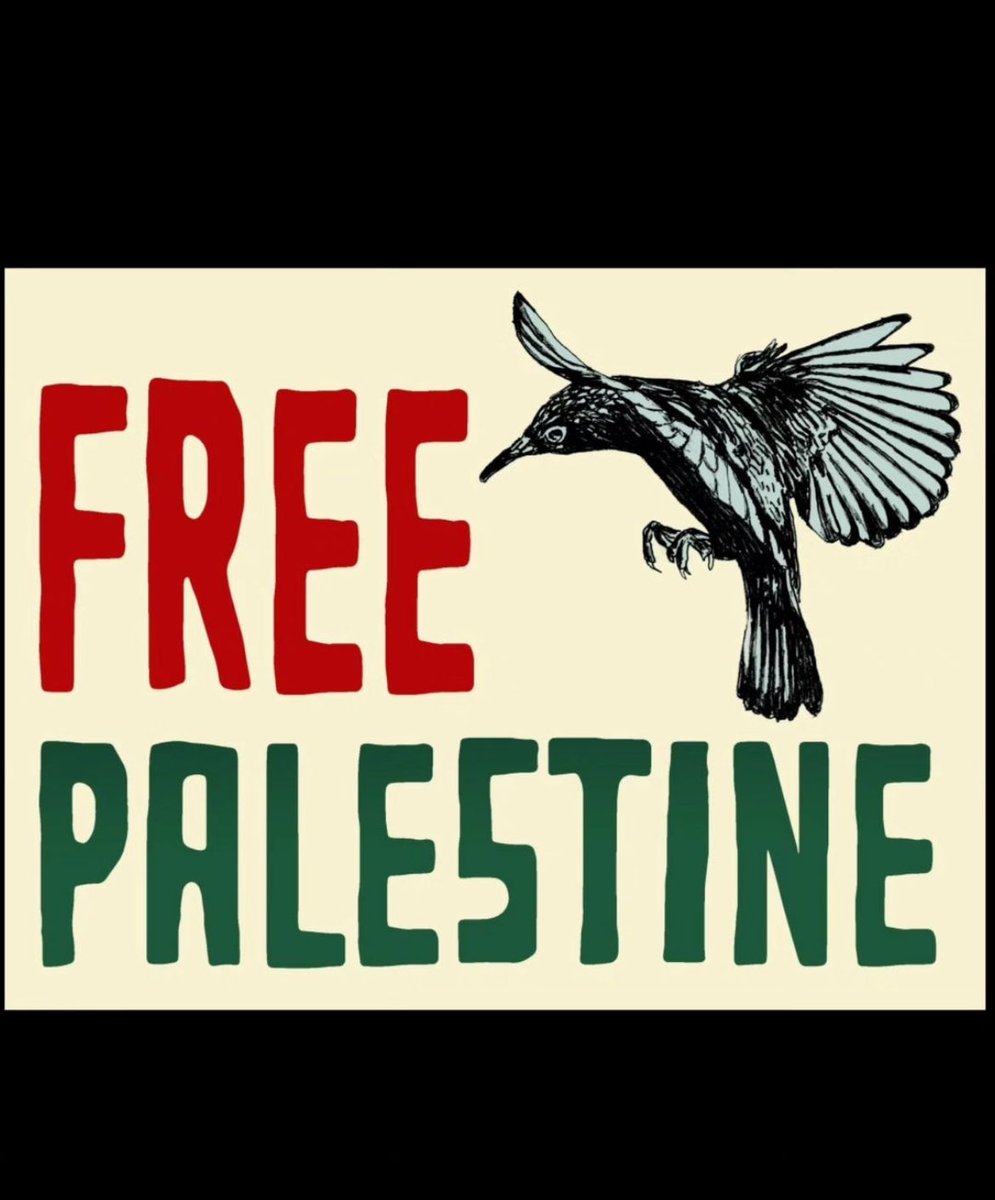 aliceinempire's tweet image. Itโs not a war, itโs genocide.