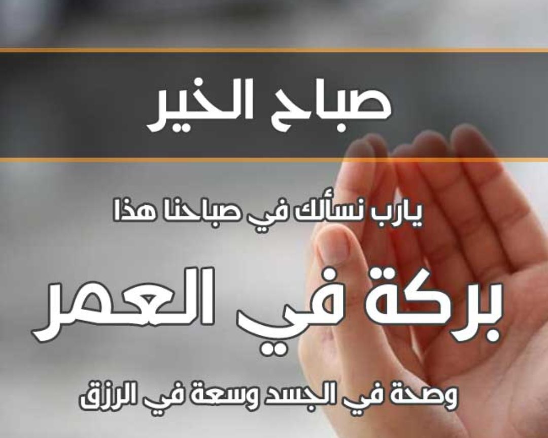 AliFailsal's tweet photo. صباح الخير 🌹 https://t.co/fq9ThzqtVM