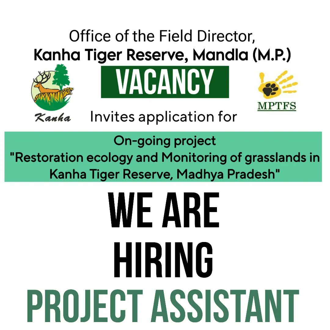 🌿 Exciting #ResearchOpportunities in Grassland Restoration Ecology Project at Kanha TR! 🐅🌳
 📢 Join us in contributing to Grassland Ecology! 🌱 Explore ecorestoration methodologies.
#Recruiting #jobalert