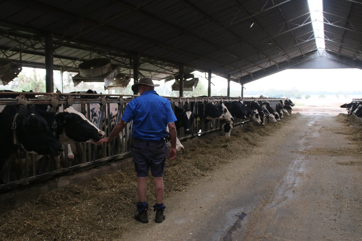 Last weekend at home together on the family farm. I’m a bit biased but has been a top performing operation built over many years of hard work. Mum and Dad can walk away from a job well done!