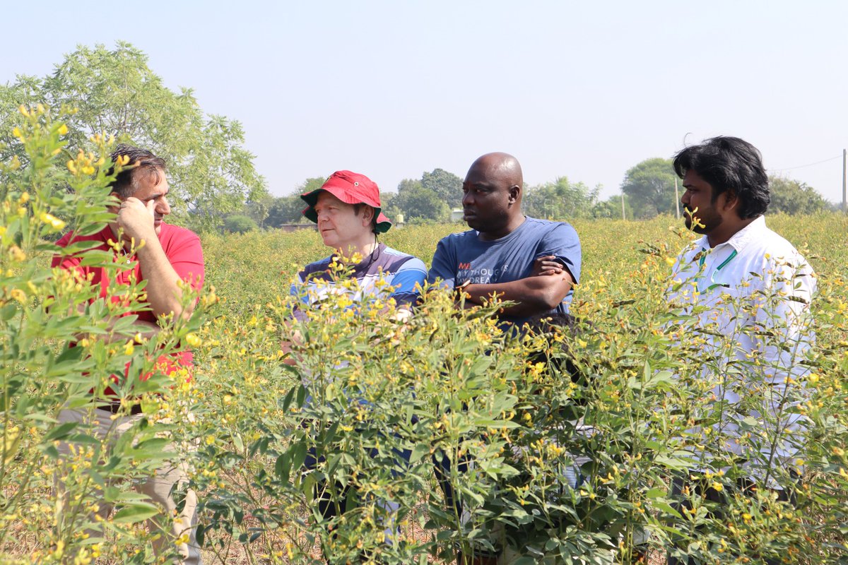 Leveraging Cross-learnings: How India’s experience can benefit Africa in seed systems development and dissemination linkedin.com/pulse/leveragi…