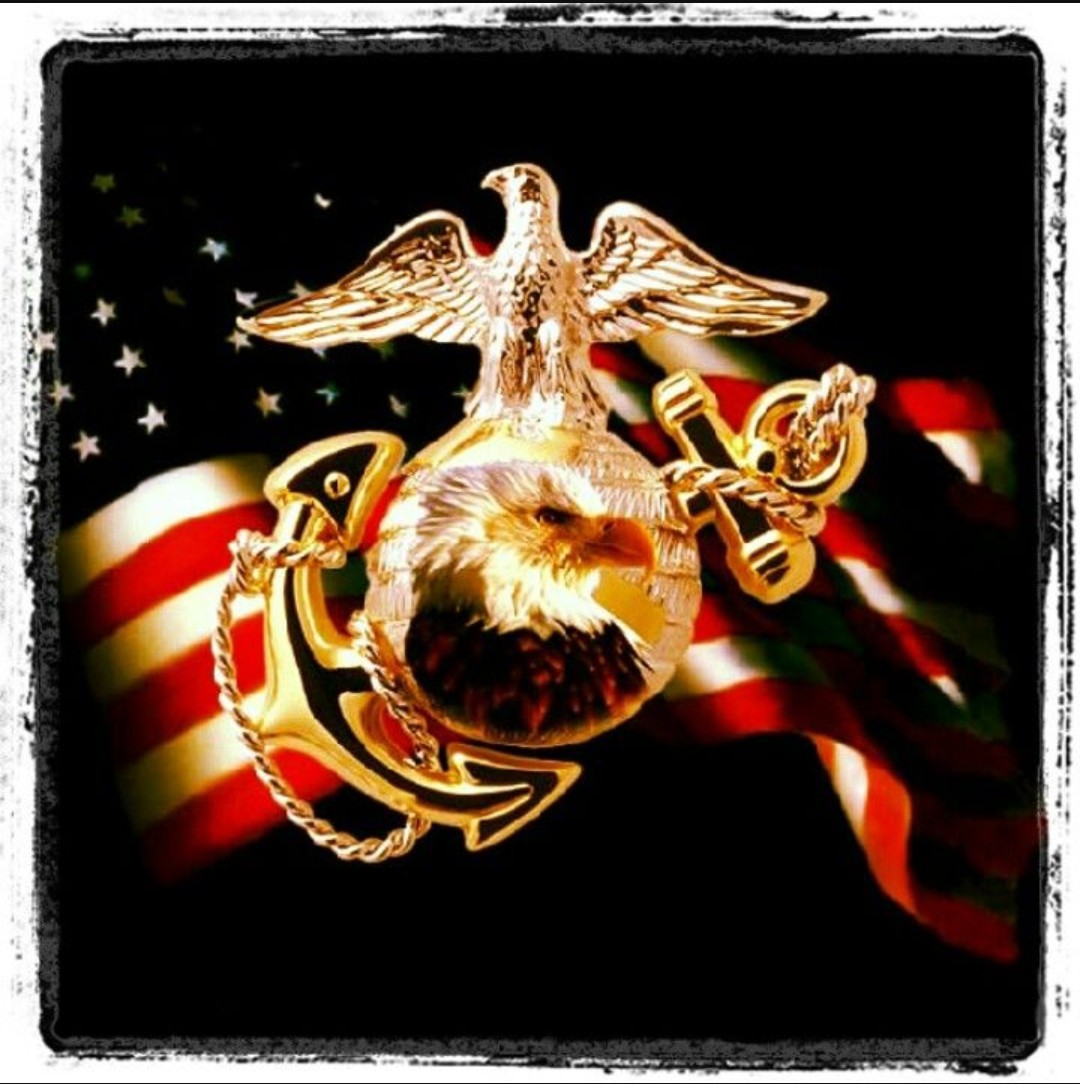 #USMC #TipOfTheSpear #Grunt 🙏🏻    #LetsEndVeteranSuicide  #22to0 🙏🏻