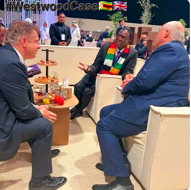 PaulPaulus13's tweet photo. @Cde_Ostallos @ChangeRadioZW @steve_hanke @SharonHoole @SpeakTruth2Pow @faithcutler @DuchessTalitha @leesah_zimbo @RungweHebson @politicalprophe @Zimboish @zimbabwe_for @TapiwaTaruving4 @bellagushaz @DrNyashaForMP @MondliMhlanga5 @cdesetfree @JaYMuchy1 @emmanuelmapamba @jurylady5 @lisah_ncube @MacBelts @FedericaMog @eu_eeas @coe @EUCouncilPress @EUCourtPress @ParliamentEU @EURightsAgency @euinzim @vonKirchmannEU "ZRP views very seriously2Ministers' behaviour "interfere with police work" particular #Murasa sought2protect #Mliswa wantonly "seizing property" outside 🇿🇼Law& #threats others"🚩 https://t.co/GtzUa57fmf