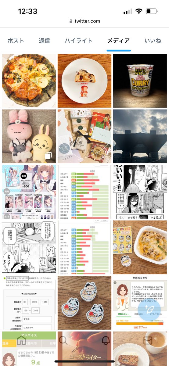 メディア欄が変わってザワザワしてたからウェブから見たらほんとだ画像一覧表示に変わってる!!!てか昔のTwitterのメディア欄これだったよね!!!??私この仕様が好きだったから戻って嬉しい!!!!X以降初めての嬉しい機能改善!!!!!