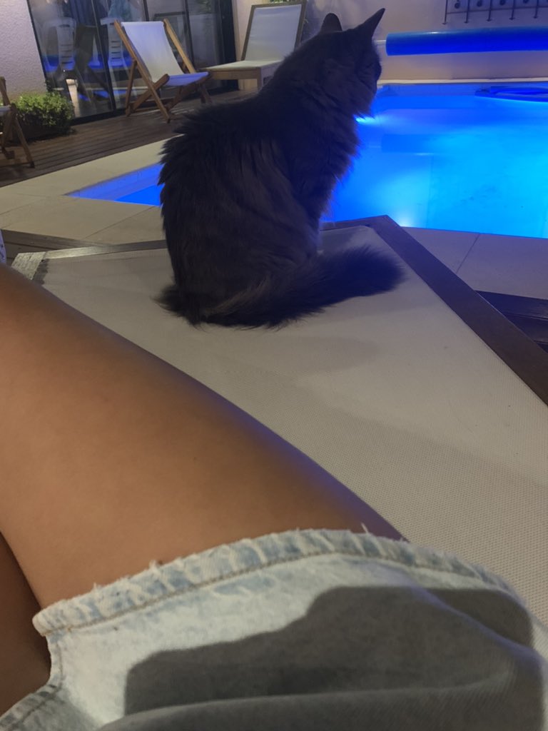 q haces acá amiga
