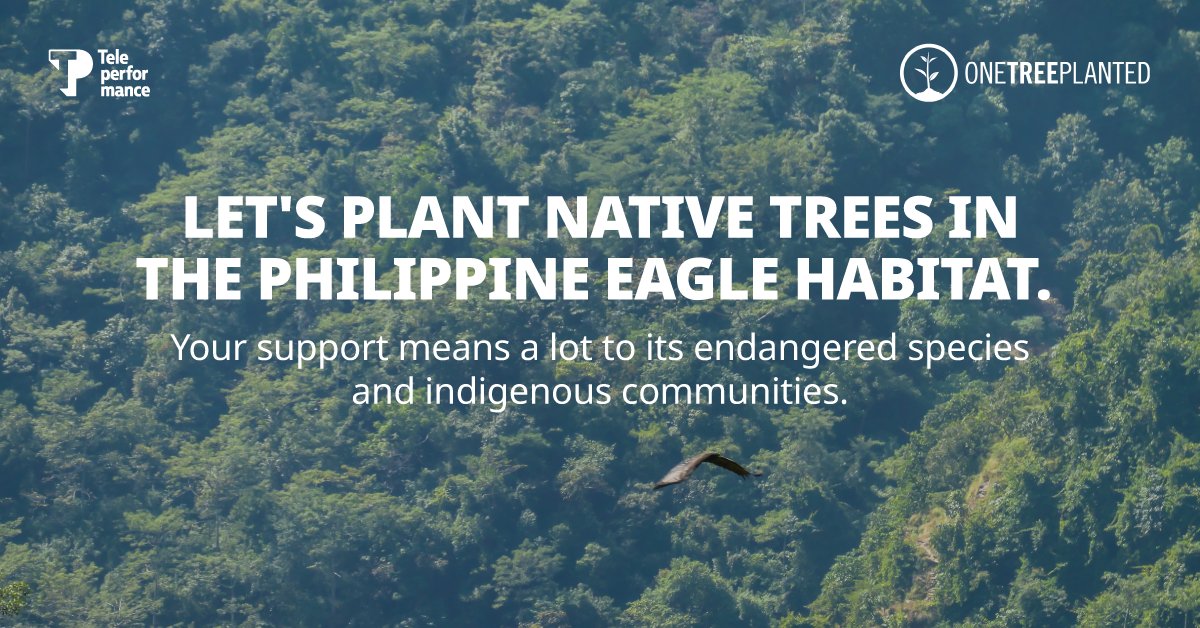wearetpgroup's tweet photo. Besides being a home for the indigenous communities, Philippine forests also serve as the habitat for the critically endangered Philippine eagle, as well as various other endangered and vulnerable species, that need your support.
#TPCares #COTP #Proud2beTP #TPforOneTreePlanted https://t.co/LroxKdcJ2i