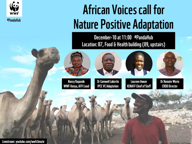 WWF Africa Adaptation Hub (AAH) tweet media