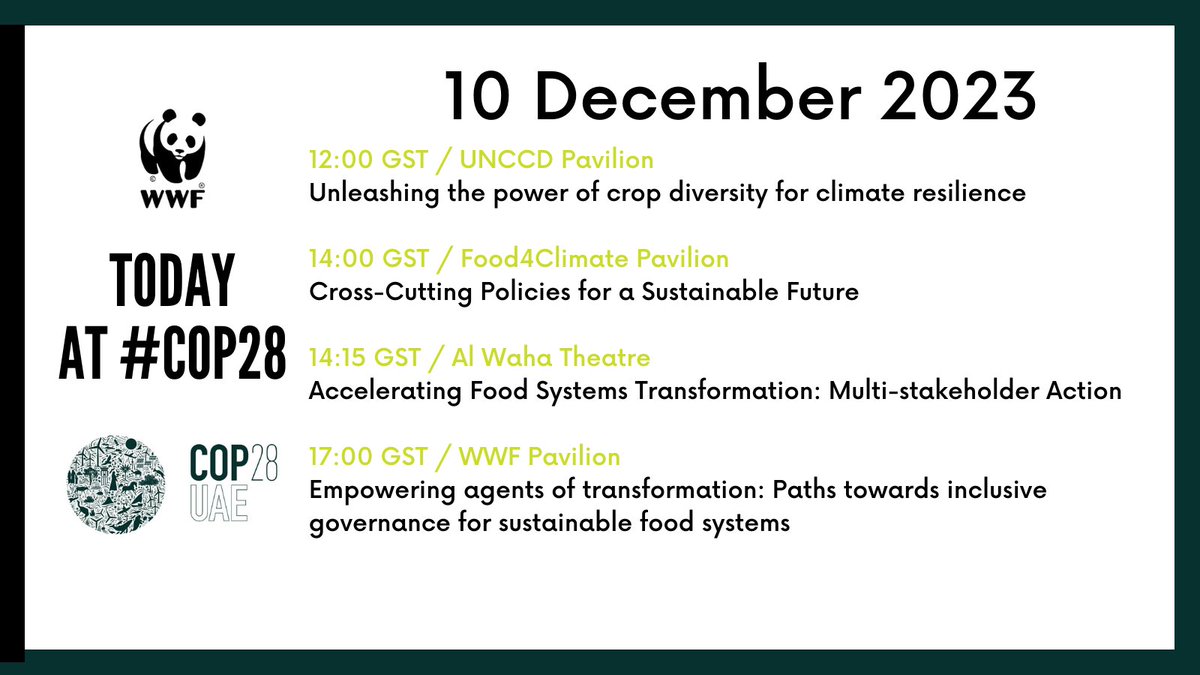 Today is Food Day at #COP28 ! We've lots of events & a few exciting things being announced... join us if you can & keep an eye out for updates. Can expect a lot in the Presidency & @hlcchampions events at 11:30 and 2:15 Need negotiators to follow suit and put food in the GST!