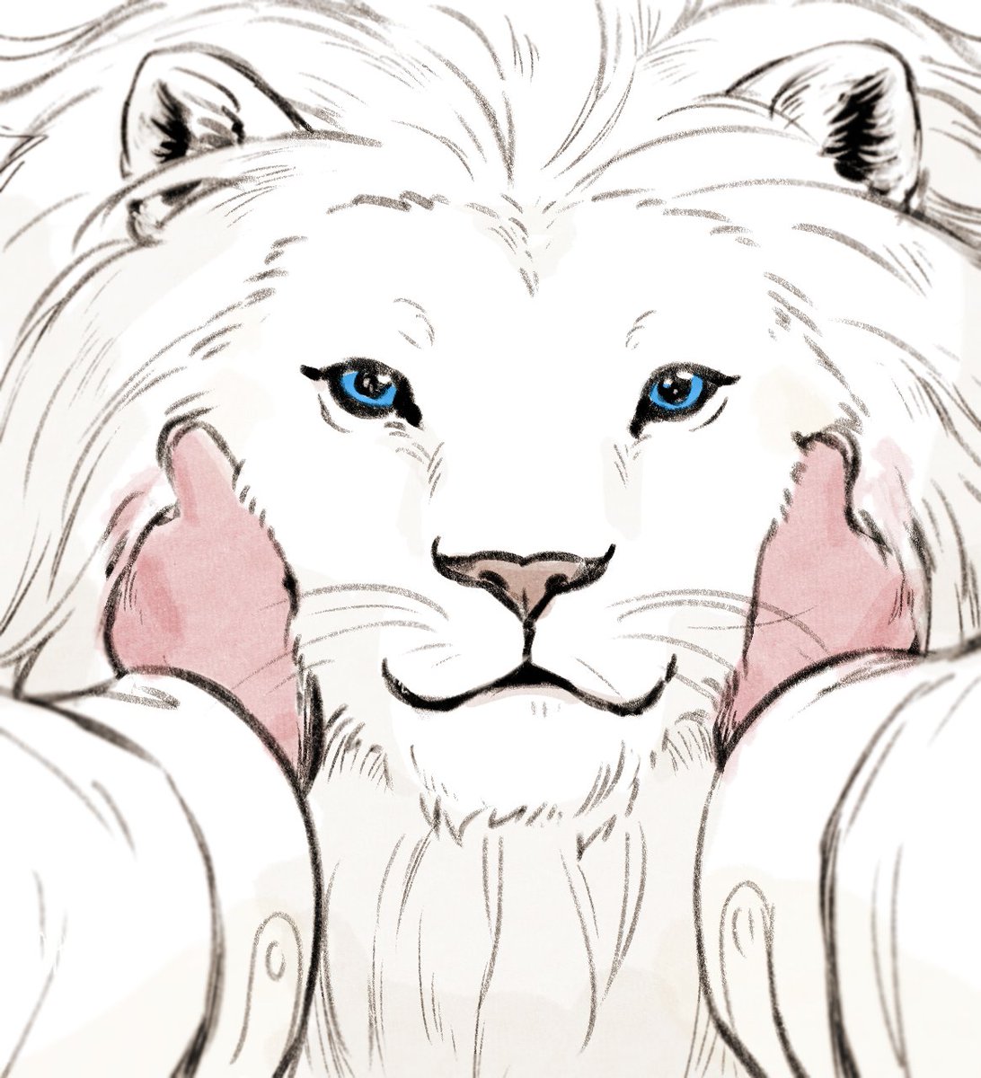 #jingyuan warm mimi..