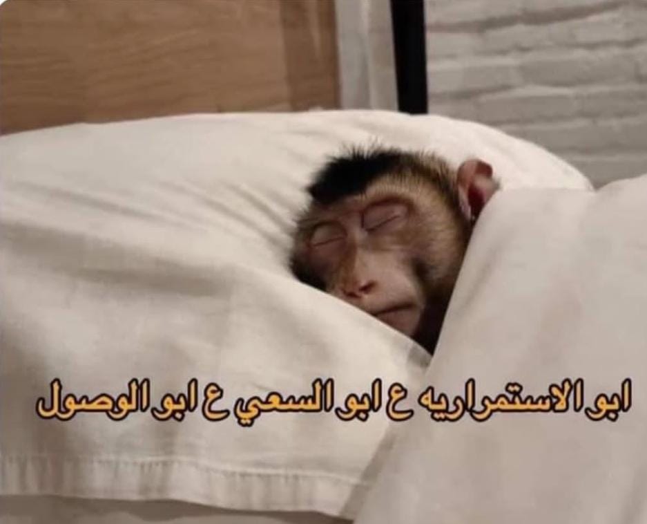 لما المنبة يرن الصبح