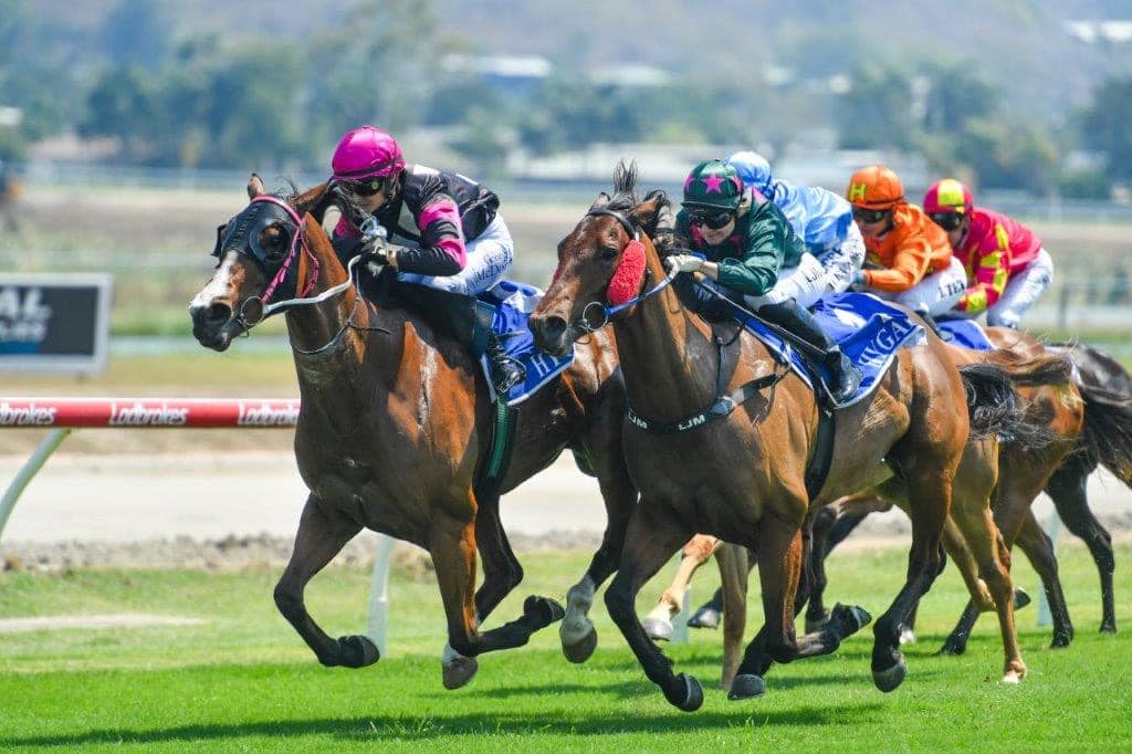 TipM8.com tweet media