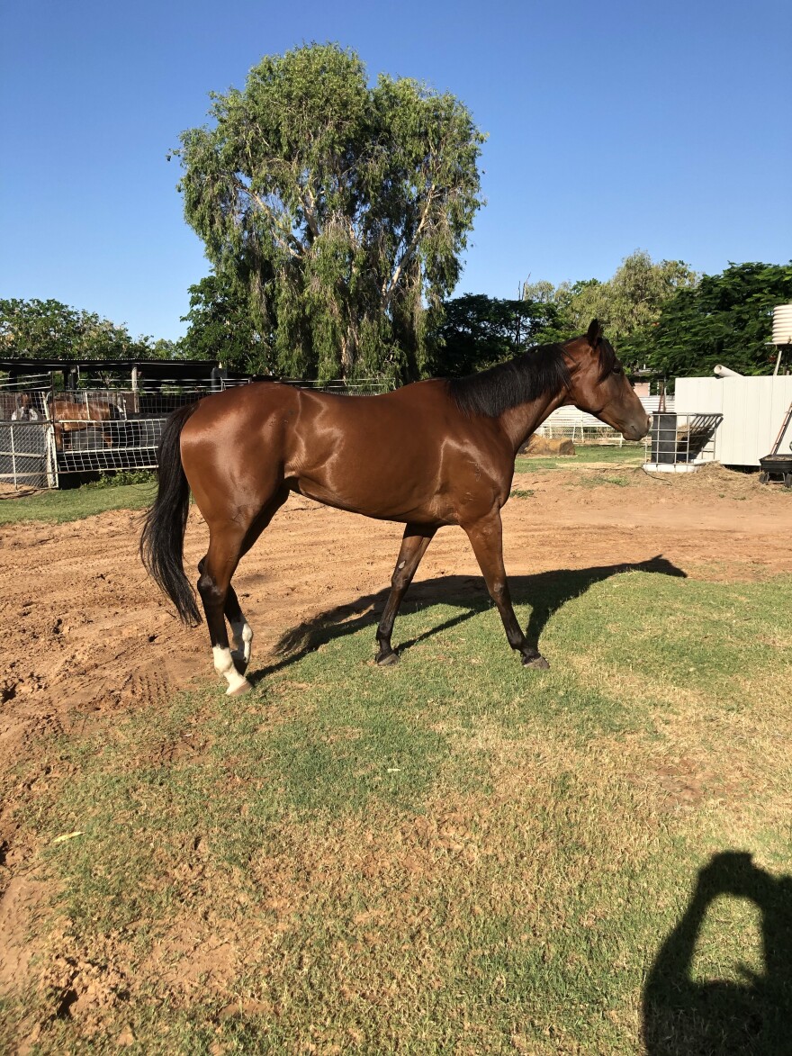 TipM8.com tweet media