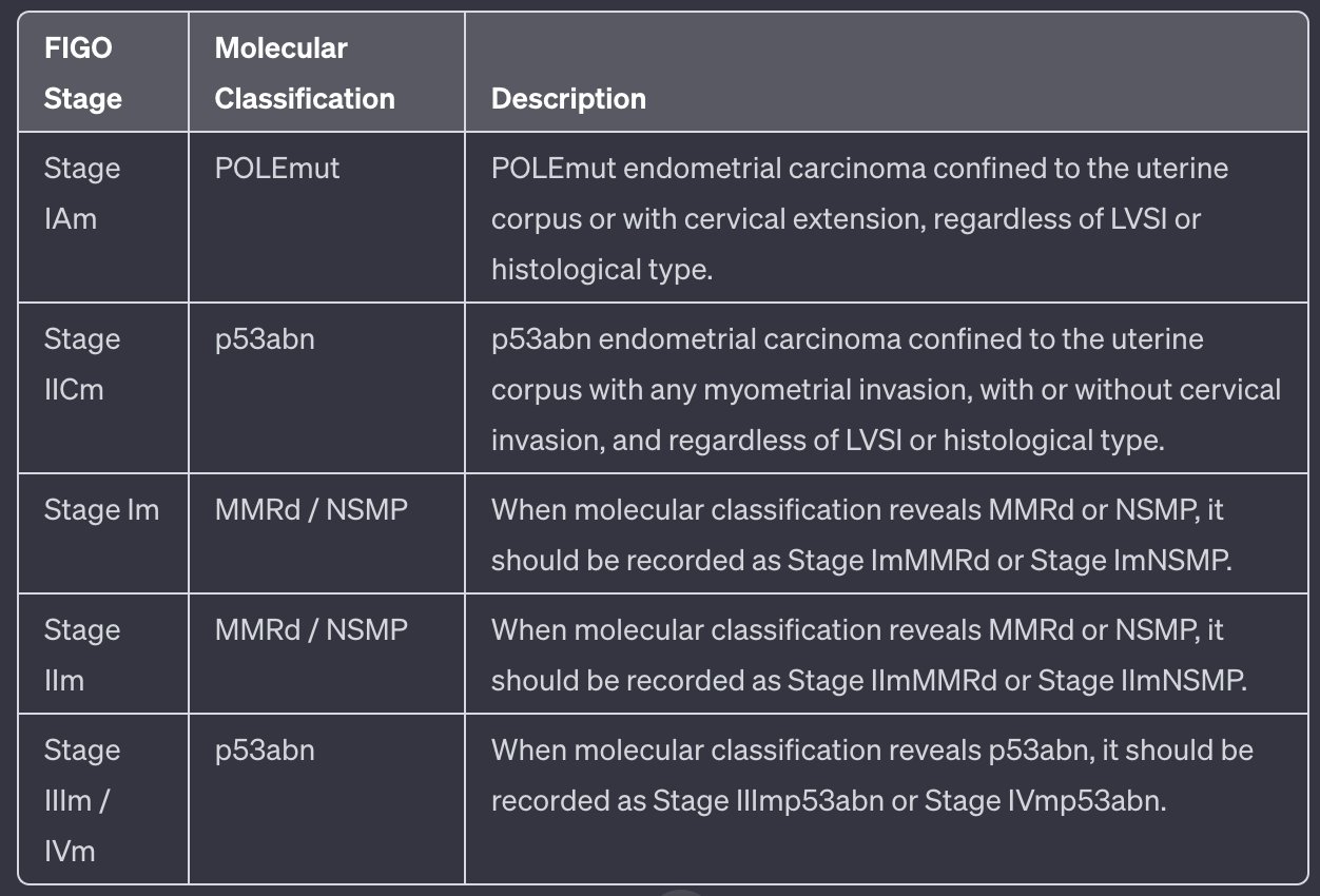 【裁断済】子宮体癌・卵巣癌におけるStaging Laparotomy 改訂2版 子宮体癌・卵巣癌におけるStaging Laparotomy