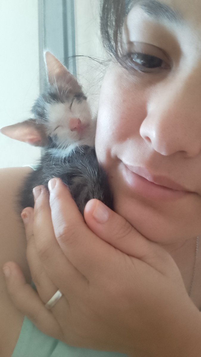 femme_ol's tweet photo. Que no te digan cómo ni dónde dormir.. #wally https://t.co/69FVvW7szO