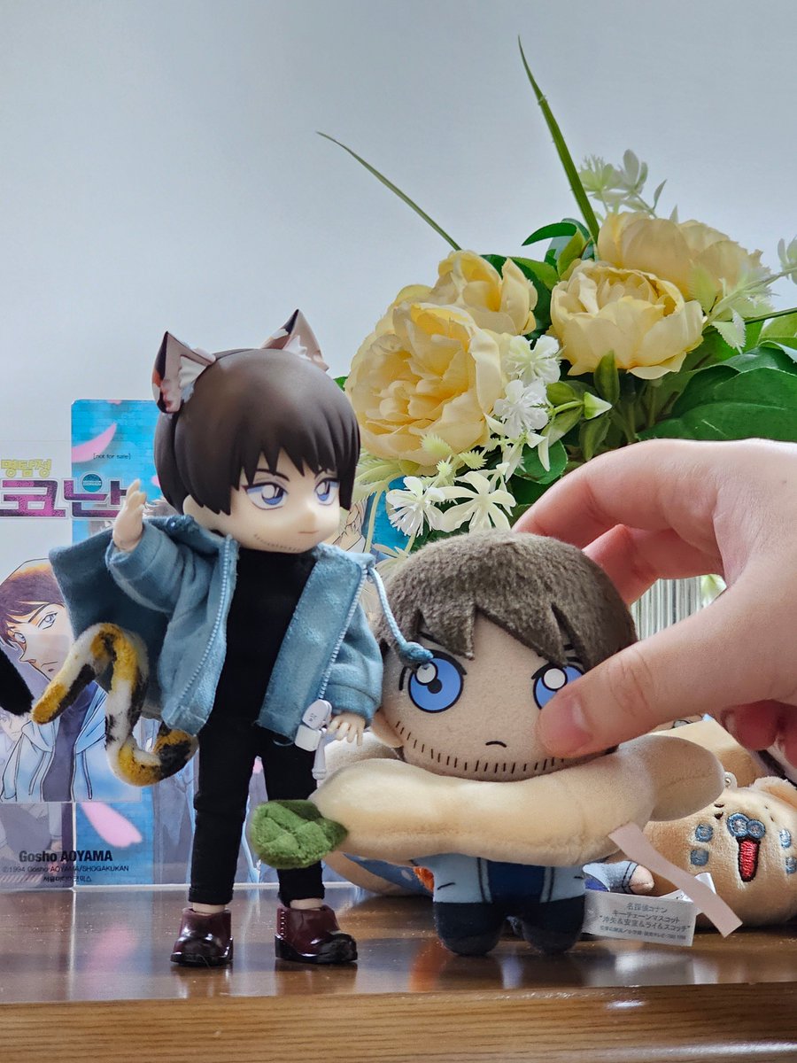 conandollmain's tweet photo. #hrmt https://t.co/q8BXf1eiC9