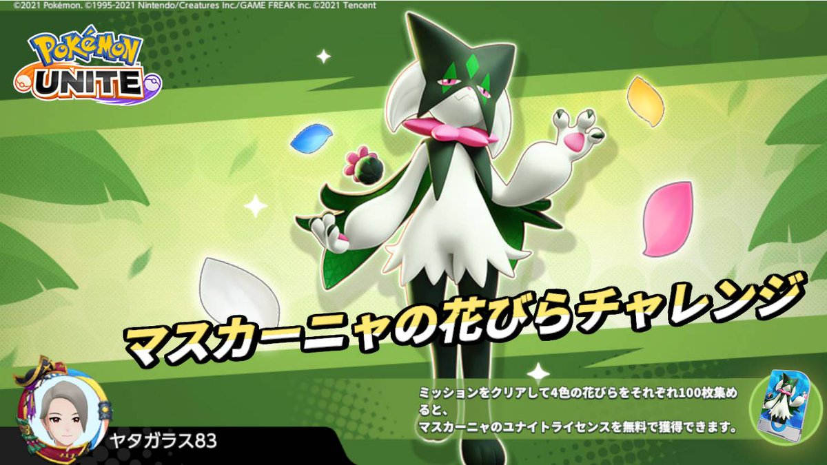 ヤタガラス。 (@yatagarashu0803) on Twitter photo 