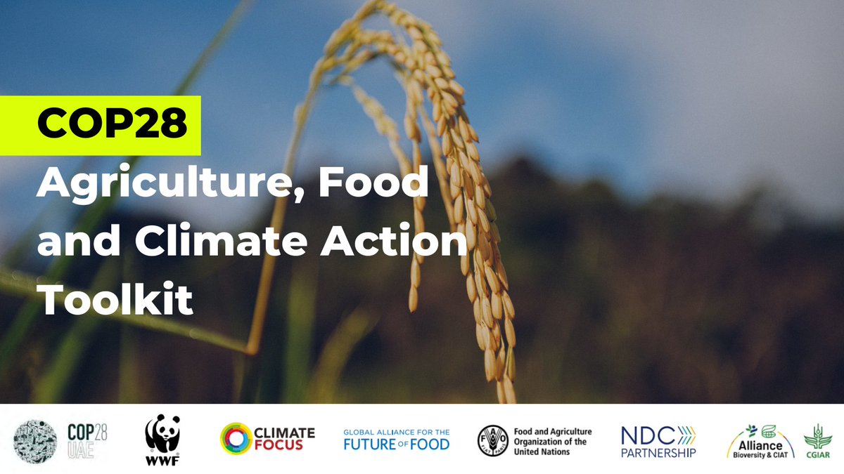 📣Announcing the launch of our new #COP28 Agriculture, Food and Climate Action Toolkit! Through the Emirates Declaration on Food countries are committing to update NDCs and NAPs with food action - we're providing the tools to help them Read more👉wwf.panda.org/?10365441/Food…