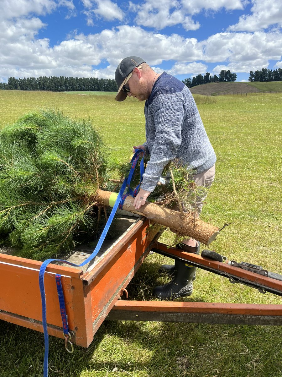 Jess Archer tweet media