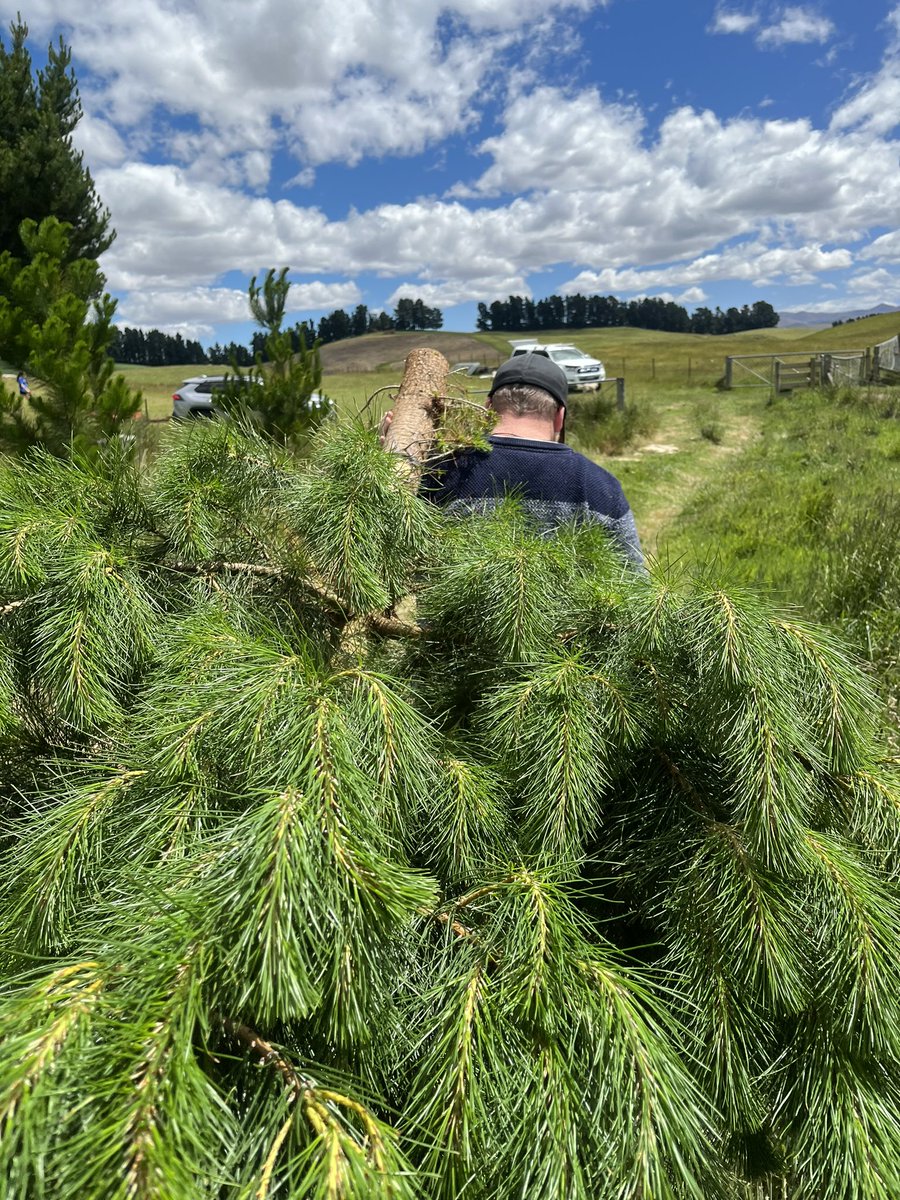 Jess Archer tweet media