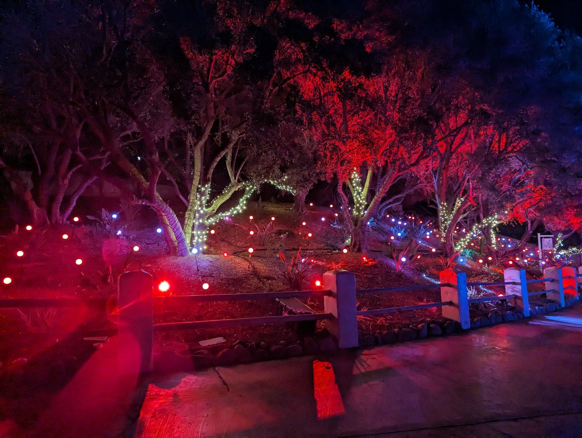 thrillnetwork's tweet photo. @SFMagicMountain Neat animated light show on the path up to Viper. @SFMagicMountain #HolidayInThePark https://t.co/spyno63Z8D