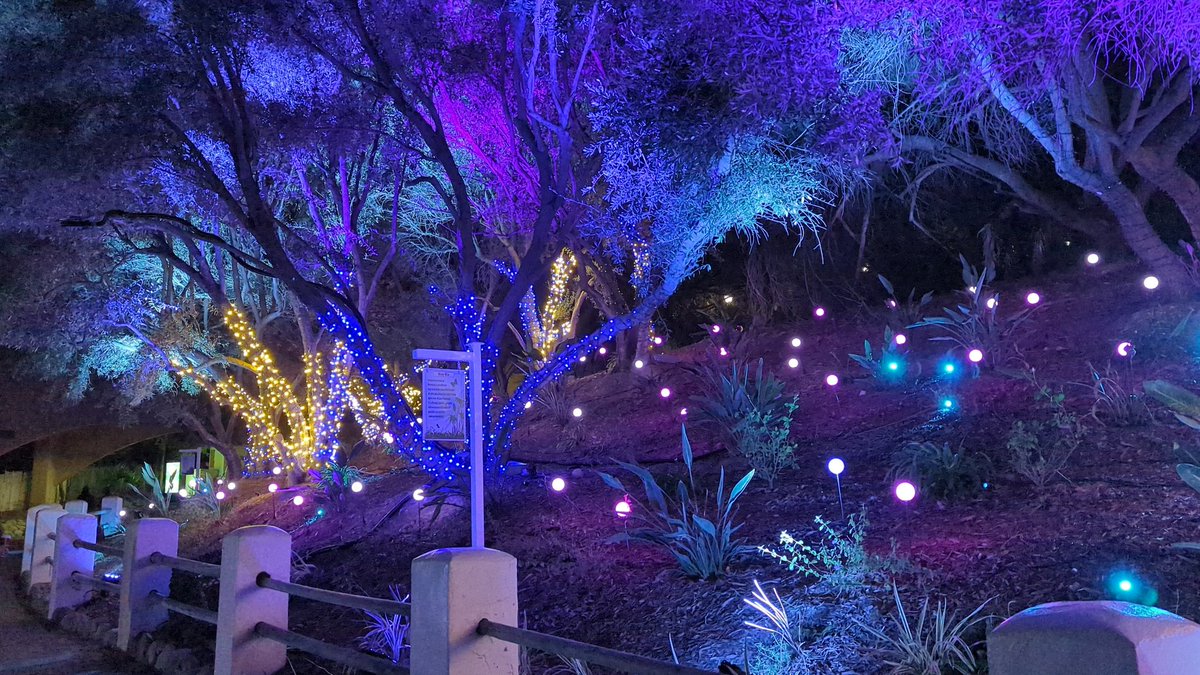 thrillnetwork's tweet photo. @SFMagicMountain Neat animated light show on the path up to Viper. @SFMagicMountain #HolidayInThePark https://t.co/spyno63Z8D