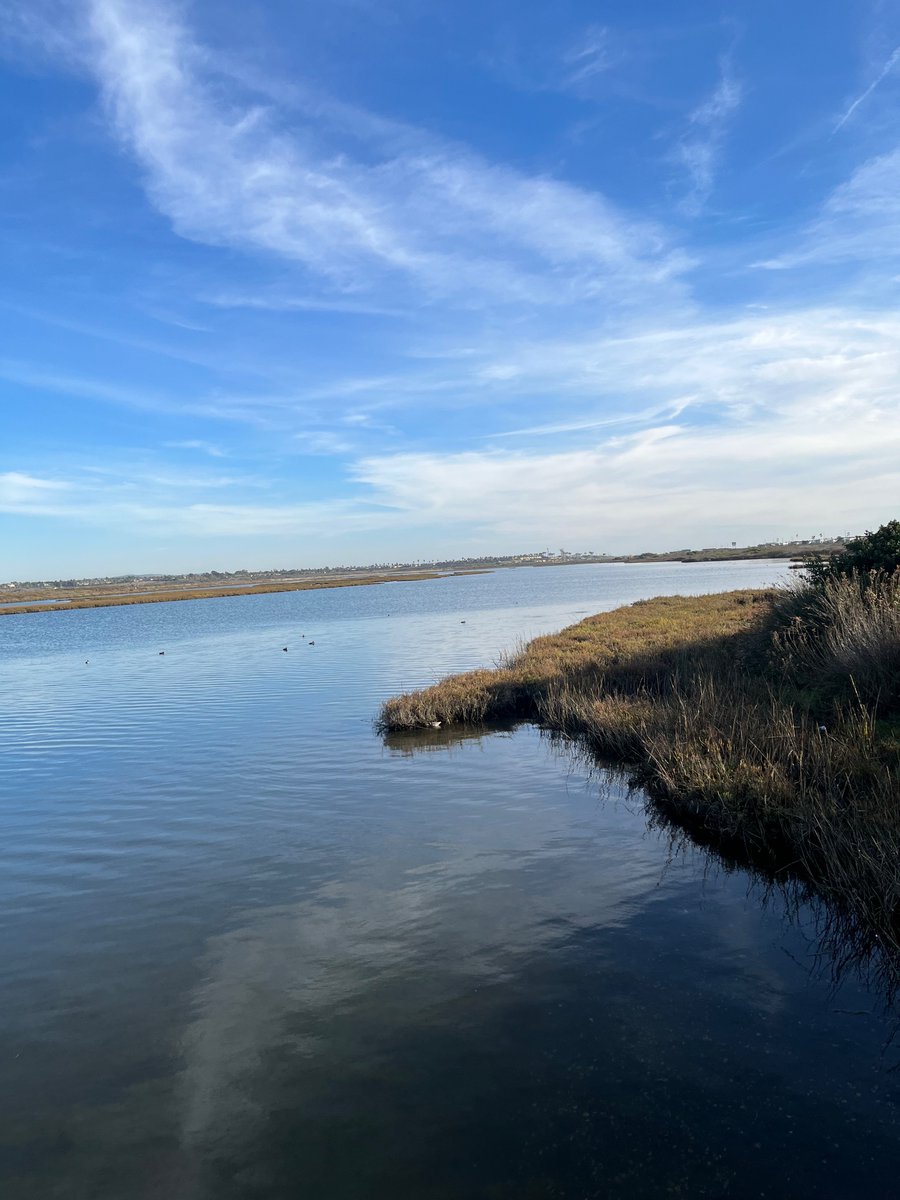 lotusfairies (@lotusfairies) on Twitter photo 