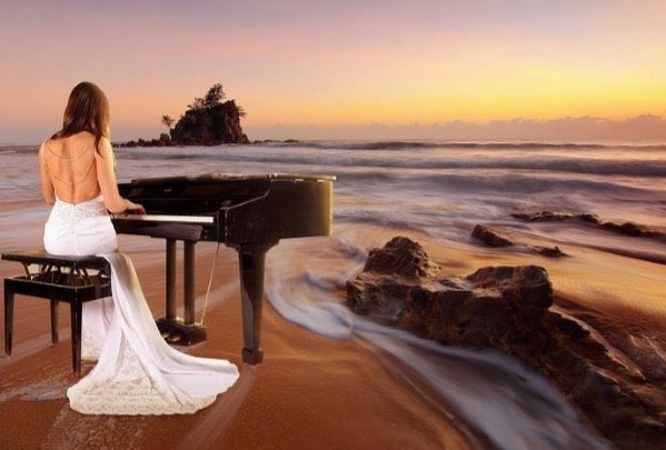 荷花 (@leon74845381) on Twitter photo 