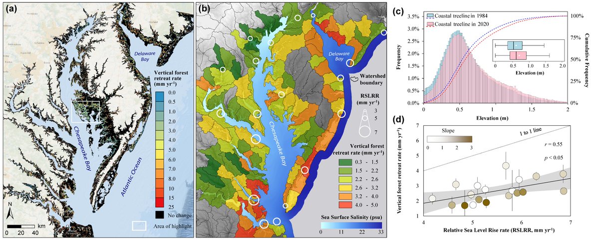 Yaping Chen tweet media